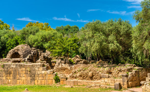 Ruins of Tipasa, a Roman colonia in Algeria, North Africa