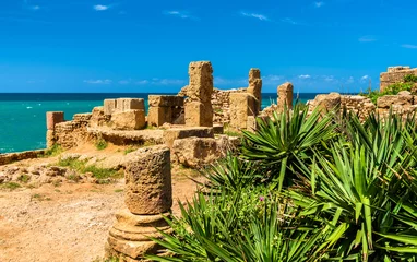 Abwaschbare Fototapete Ruinen von Tipasa, einer römischen Kolonie in Algerien, Nordafrika © Leonid Andronov