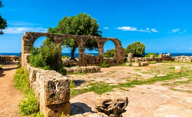 Tuinposter Ruins of Tipasa, a Roman colonia in Algeria, North Africa © Leonid Andronov