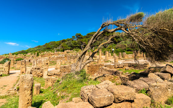 Ruins of Tipasa, a Roman colonia in Algeria, North Africa