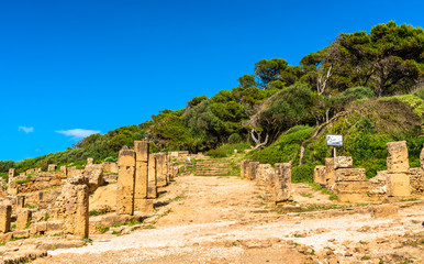 Ruins of Tipasa, a Roman colonia in Algeria, North Africa