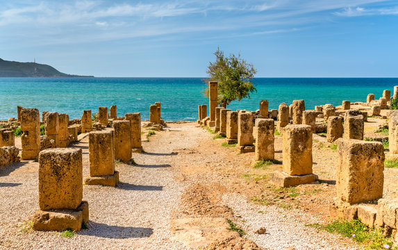 Ruins of Tipasa, a Roman colonia in Algeria, North Africa