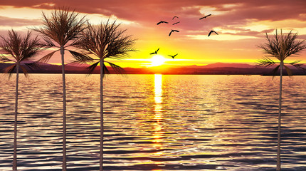 Obraz na płótnie Canvas puesta de sol en la playa tropical