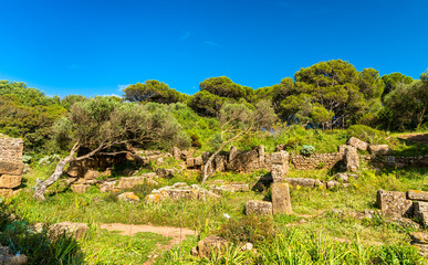 Fototapeta na wymiar Ruins of Tipasa, a Roman colonia in Algeria, North Africa
