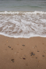 A wave reaches the beach