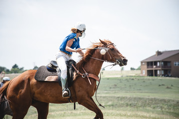 Obraz premium Woman Plays Polocrosse