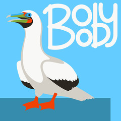 booby bird  vector illustration flat style profile 