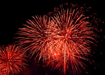 Nice fireworks on the sky