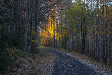 Obraz premium Licht am Ende des Weges