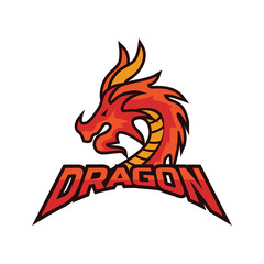 dragon logo for your business, vector illustration