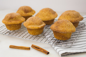 Cinnamon Sugar Muffins