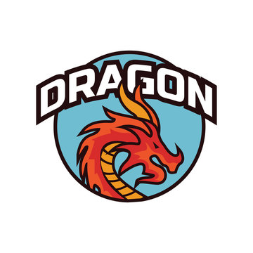 dragon logo for your business, vector illustration