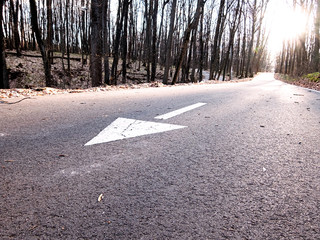 Markings on the road. Arrow "to move right". Left view