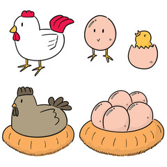 vector set of chicken and egg