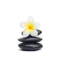 Tropical yellow flower and stones on white background.