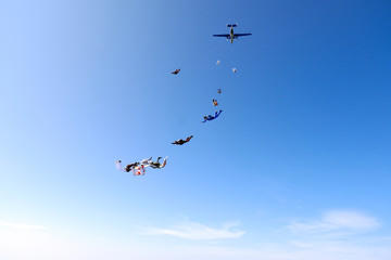 Naklejka na ściany i meble Formation skydivng. Skydivers have just jumped out.