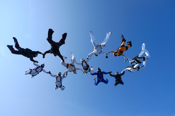 Skydiving. Formation is in the sky.