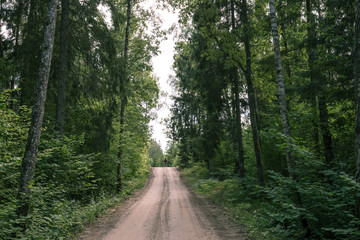 Road to Pokaini Forest