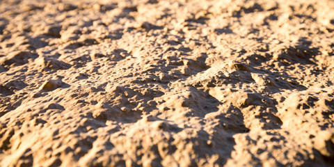 The texture of the plastered wall