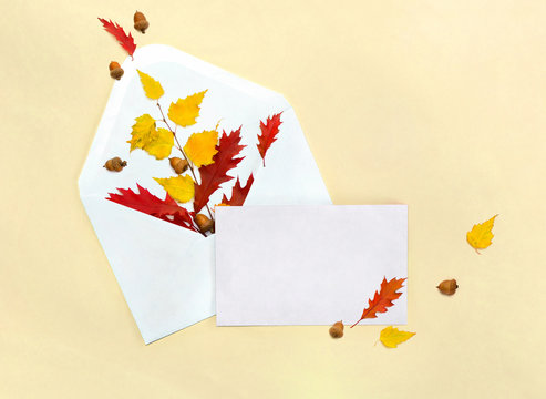 Sonew Cartes de voeux avec enveloppe Carte de voeux vierge de Thanksgiving  en papier multi-styles avec enveloppe et autocollant