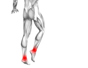 Naklejka na ściany i meble Conceptual ankle human anatomy with red hot spot inflammation or articular joint pain for leg health care therapy or sport muscle concepts. 3D illustration man arthritis or bone osteoporosis disease