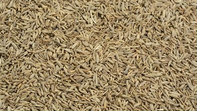 Comino, rotando