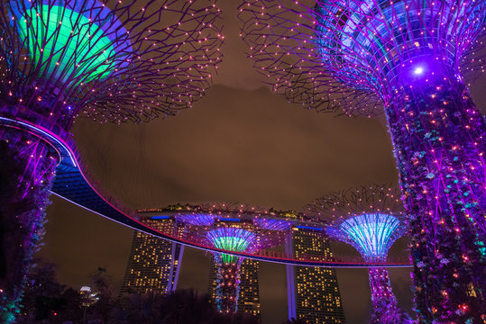 Gardens of the bay, Singapure