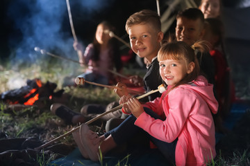 Fototapeta na wymiar Children with marshmallows near bonfire at night. Summer camp