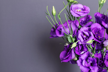 Beautiful bouquet of purple eustoma flowers and space for text on color background