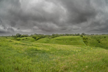 Fototapeta premium Meadow grass on the hills along the Olym River, Middle Don