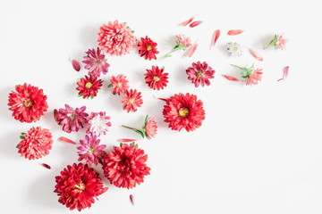 Flowers composition. Pattern made of fresh autumn flowers on white background. Flat lay, top view, copy space 