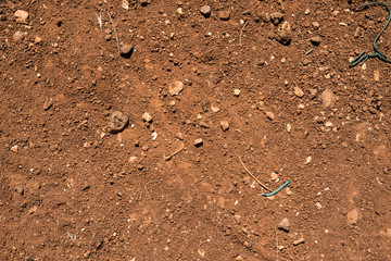 footprint