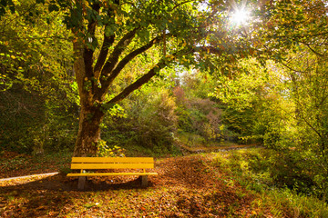Bank im Sonnenschein