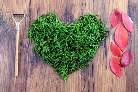 Love autumn decoration with twigs forming a heart on wooden background