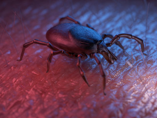 3d rendered illustration of a tick on skin