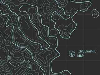 Topographic map lines, contour background concept with space for your copy. Geographic grid, vector abstract.