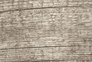 wood texture background, wooden plank old grain board 
