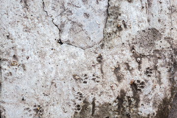 Texture