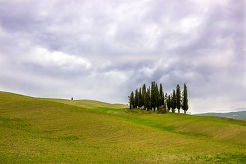 sunrise and fields in Tuscany in Val d'Orcia