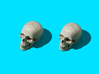 two skulls on color background