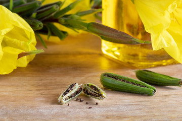 Evening primrose pods and seeds, with evening primrose oil