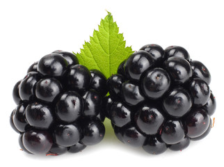 Blackberries isolated on white. Macro