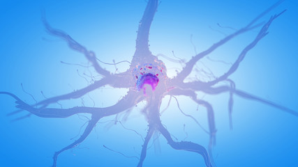 3d rendered medically accurate illustration of a human nerve cell