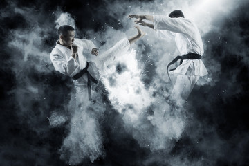 Two male karate fighting