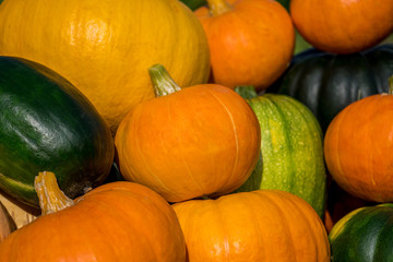 ripe pumpkin