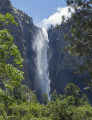 Obraz premium Spada w Yosemite parku narodowym, Kalifornia