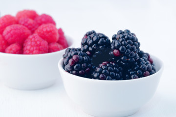 fresh berries on white background