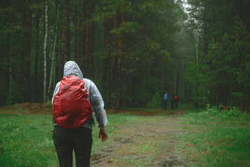Tourists in the rainy forest