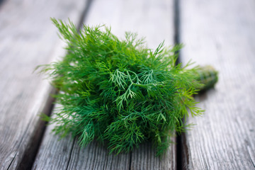bunch of fresh dill on the wooden surface