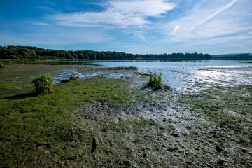 Landscape with bright sunny summer day, blue sky, white clouds, reflection in water, muddy river bed, foot prints, green grass, horizon with trees 